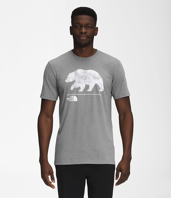 Camiseta The North Face Hombre Bearscape Manga corta Gris - Peru 23017TSZN